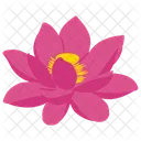 Lotus Flower Lotus Flower Icon