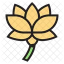 Lotus Flower  アイコン