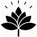 Lotus Flower Generic Flower Icon