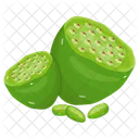 Lotus Fruit  Icon