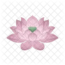 Lotus Icon