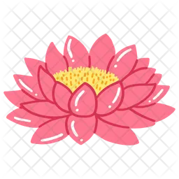 Lotus  Icon