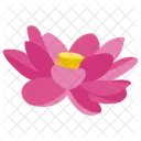 Lotus Lily Water Plant Icon