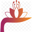 Lotus Sacred Flower Water Bloom Icon