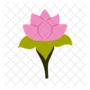 Lotus Water Lily Flower Icon
