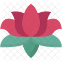  Ícone
