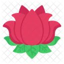 Lotus  アイコン