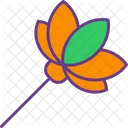 Lotus  Icon