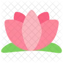 Lotus  アイコン