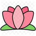 Lotus アイコン