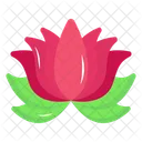 Water Lilly Lotus Floral Icon