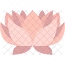 Lotus  Icon