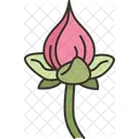 Lotus Petalas Dobramento Icon