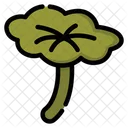 Lotus leaf  Icon