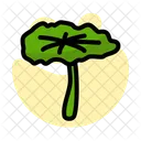 Lotus Leaf Chinese Icon