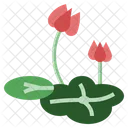 Lotus Leaf  Icon