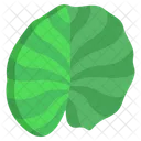 Lotus Leaf  Icon