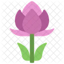 Lotus Plant  Icon