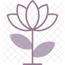 Lotus Blume  Icon