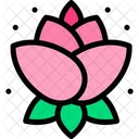 Lotus Blume  Icon