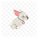 Loucher Chihuahua Chien Icône
