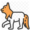 Loup Sauvage Des Animaux Icon