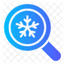 Loupe Search Magnifier Glass Icon