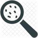 Loupe  Icône