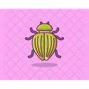 Louse Insect Bugs Icon
