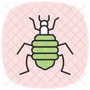 Louse Insect Parasitic Icon