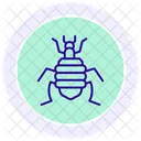 Louse Insect Parasitic Icon