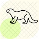 Loutre Icône
