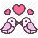 Love Bird Couple Icon