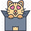 Love Cat Box Icon