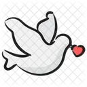 Love Bird Creature Pigeon Messenger Icon