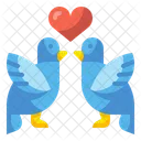 Love Bird Bird Love Icon