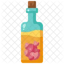 Love Bottle Valentines Day Gift Icon
