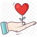 Love Care  Icon