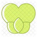 Dating Heart Love Icon