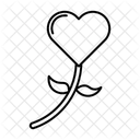 Aesthetic Icon