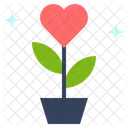 Flower Blossom Heart Icon