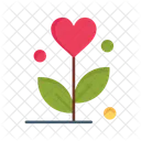 Love Flower  Icon