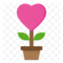 Love Flower Pot  Icon