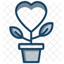 Love Growth Love Plant Heart Flower Icon