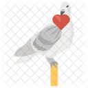 Wedding Pigeon Love Pigeon Wedding Bird Icon
