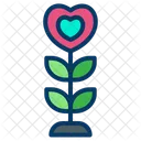 Plant Love Heart Shape Plant Icon
