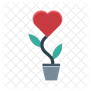 Love Plant Heart Plant Icon