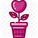 Love Plant Plant Pot Valentines Day Icon