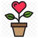 사랑 식물 나무 식물 아이콘