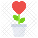 Love Plant Love Growth Potted Plant Icon